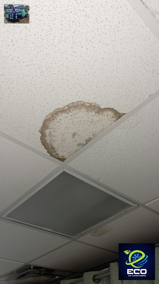 Resolving a Leak Issue for a Local Business in North Port