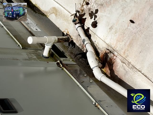 Resolving a Clogged Drain Line in Tampa's Commercial Kitchen